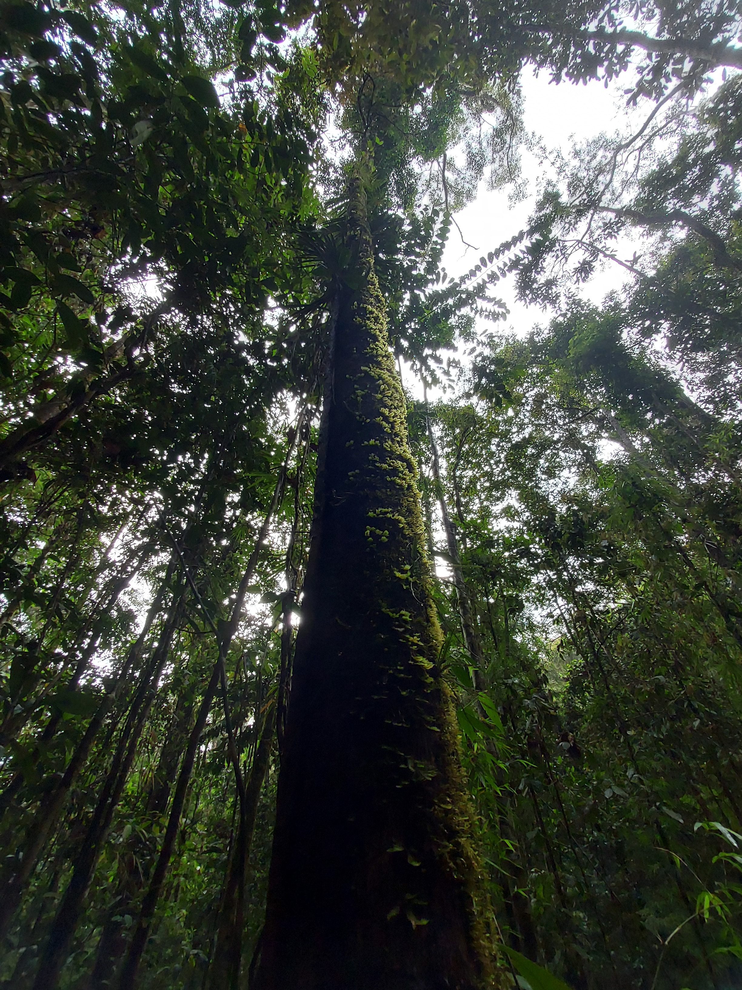 ANR Soriaga PH Bendum 20230519 115610