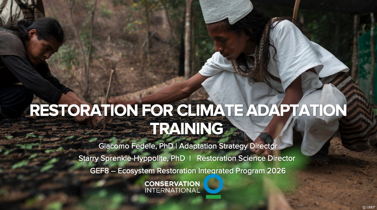 Adaptation Training session 1