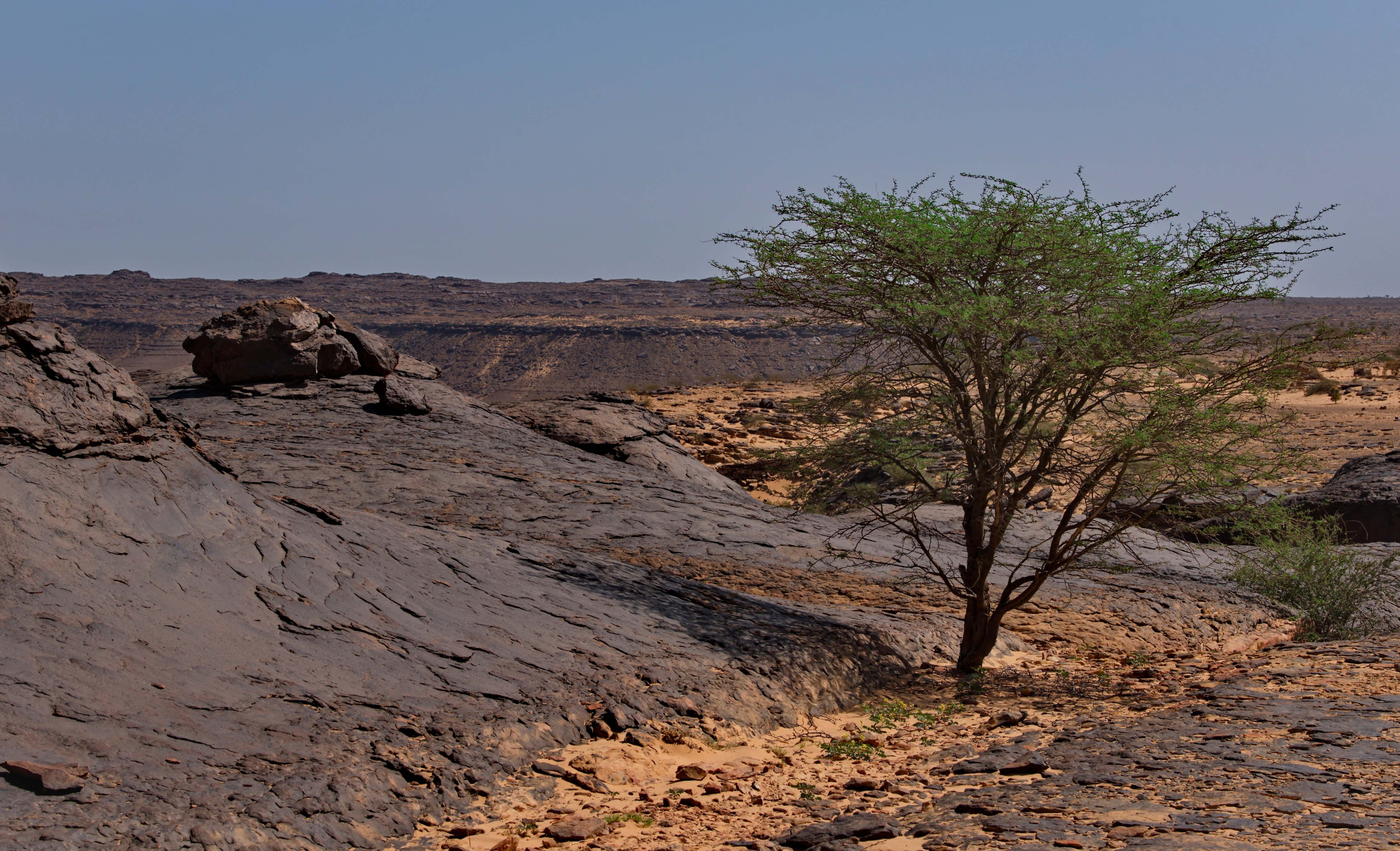Mauritania -  Adobe Stock 1121957848