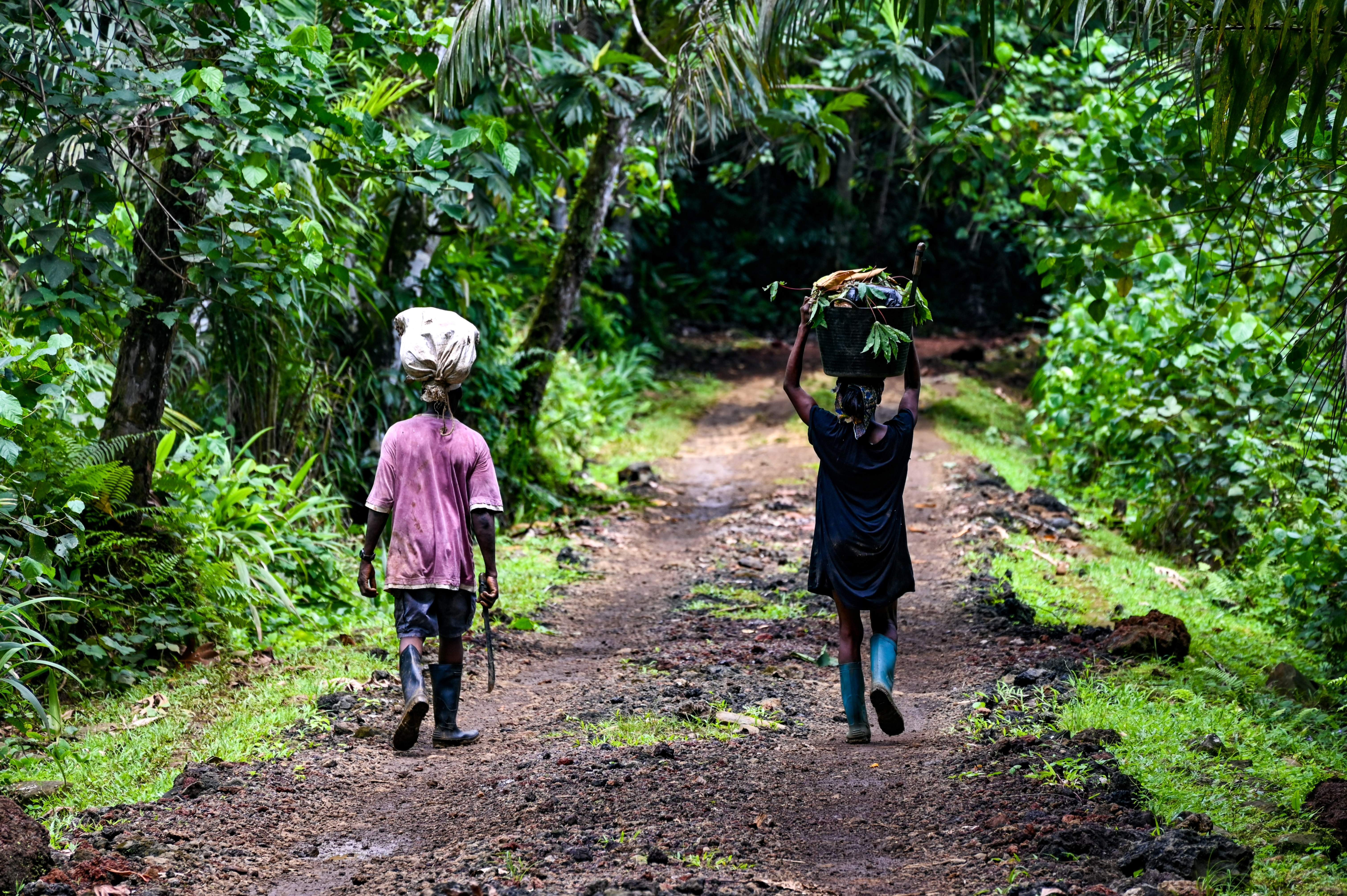 Sao Tome and Principe - Adobe Stock 717173809