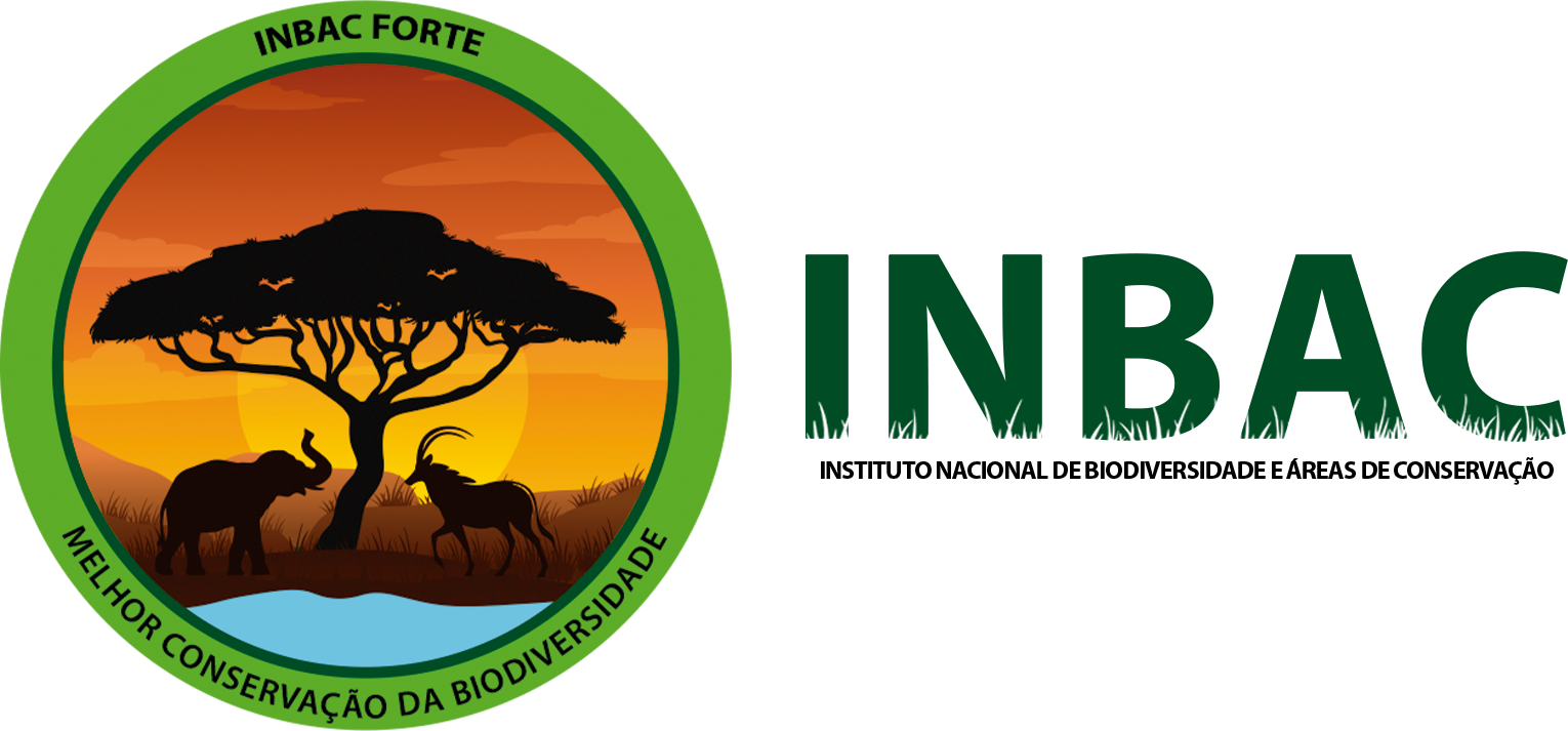 Angola INBAC