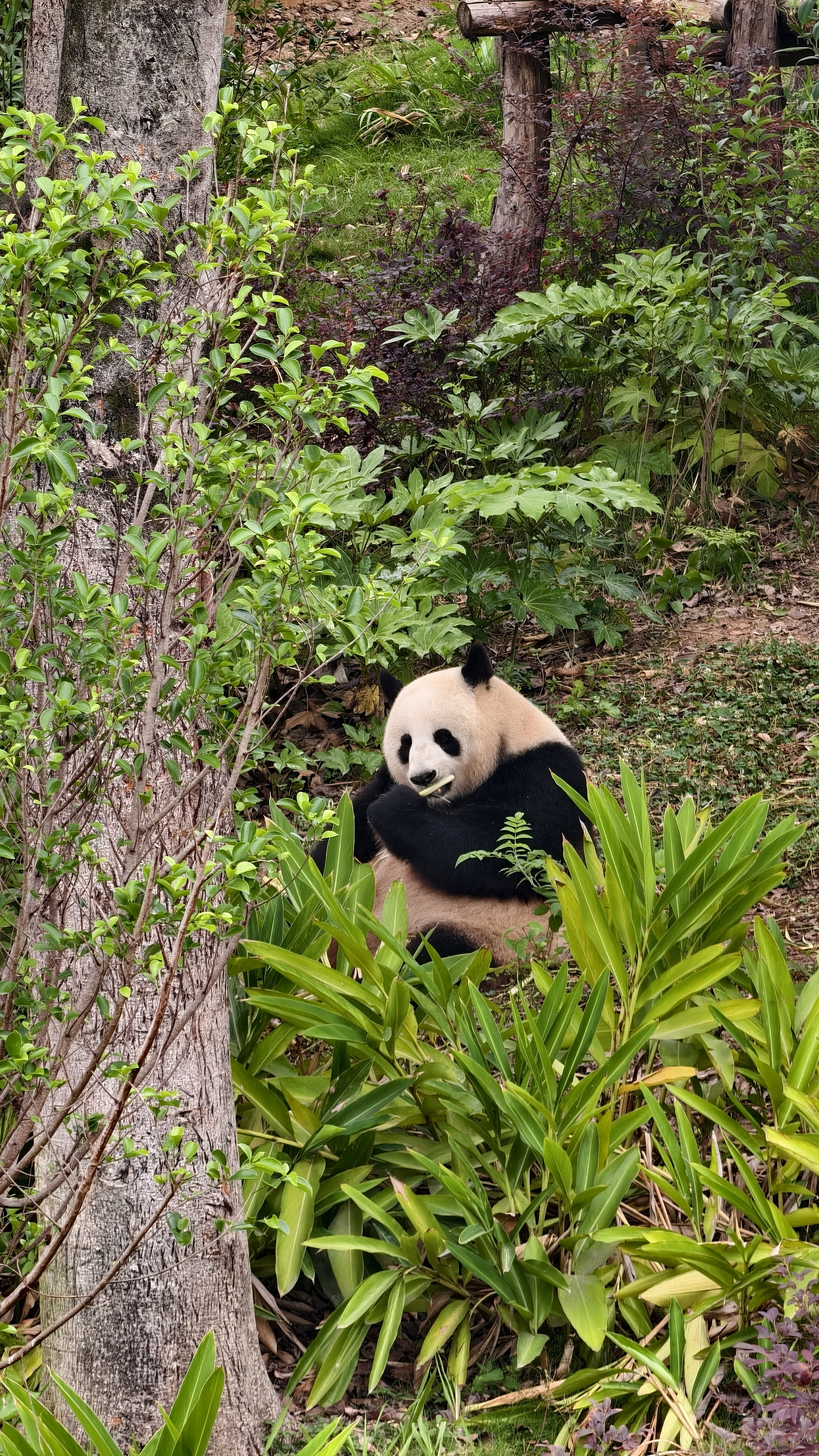 China trip 1