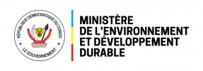 DRC LOGO ENVIRONNEMENT DEV e1651049635425