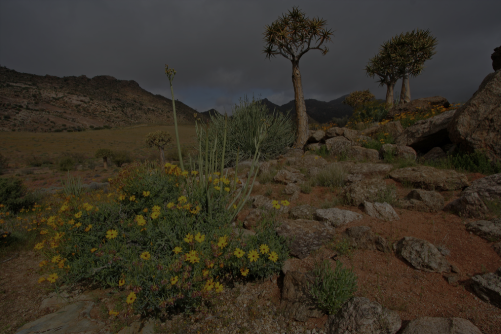 Drylands