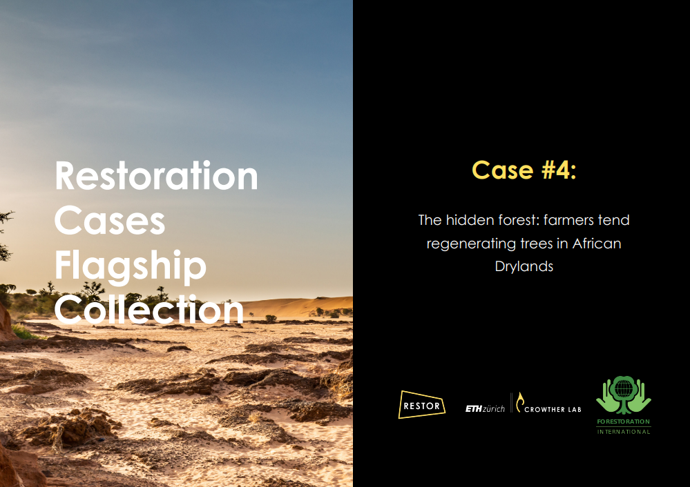 Farmers tend regenerating trees in African Drylands