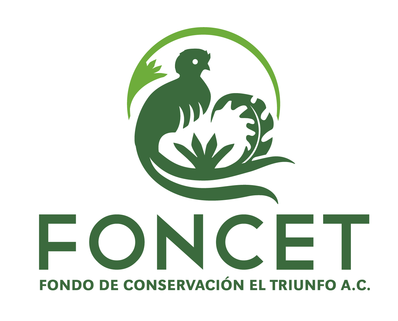Foncet Vertical