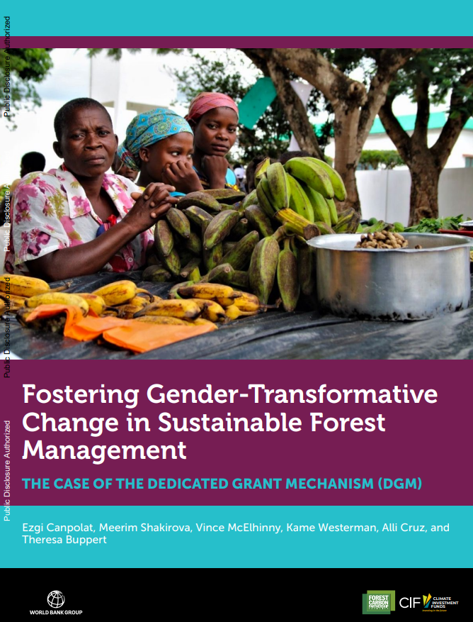 Fostering Gender Transformative Change in Sustainable Forest Management