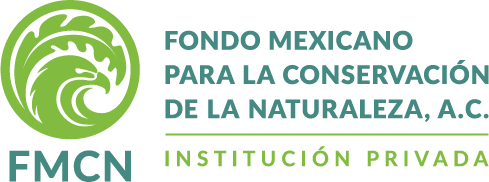 LOGO FMCN