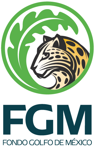 LOGOTIPO FGM 2023