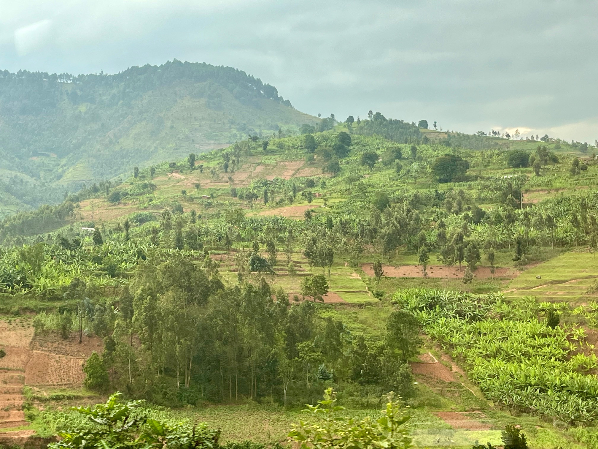 Rwanda Field Mission 20252