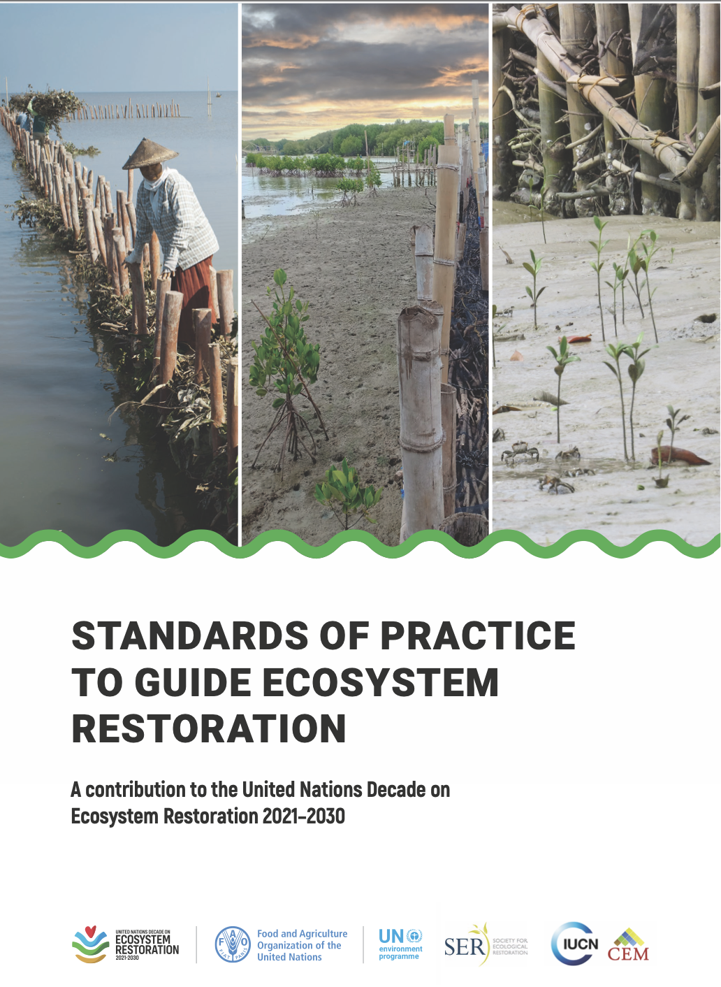 Standards of Practice to Guide Ecosystem Restoration