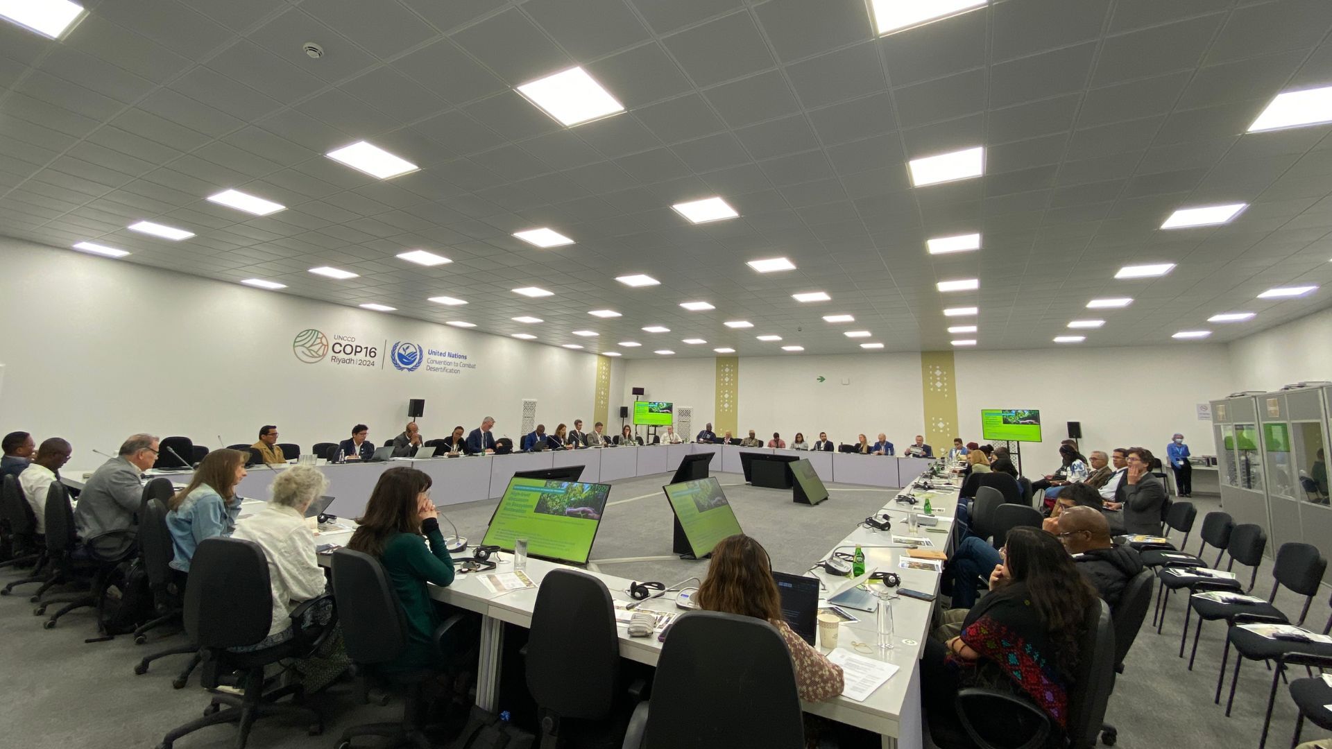 UNCCD2
