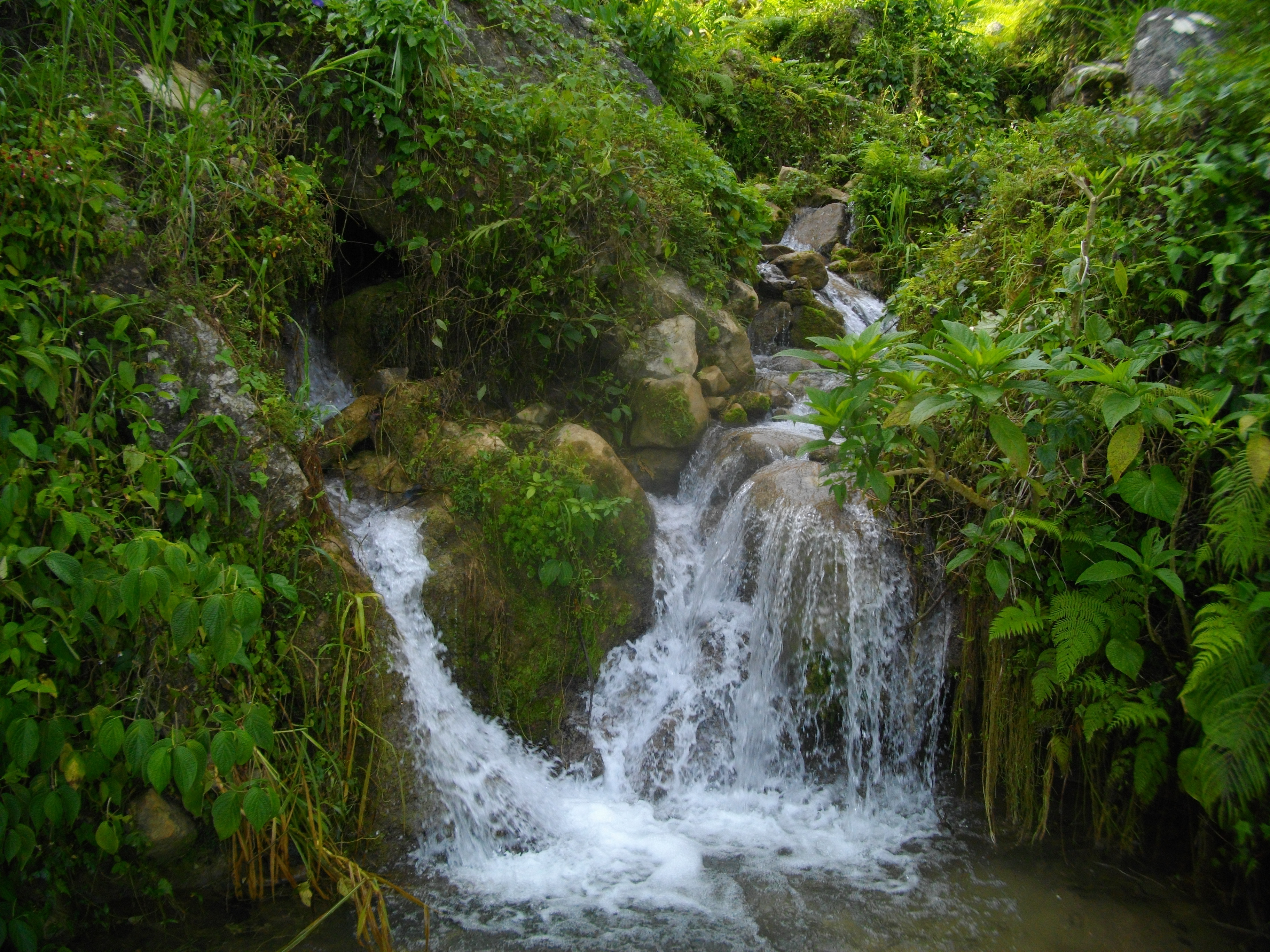 Haiti background